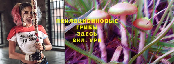 PSILOCYBIN Алексеевка